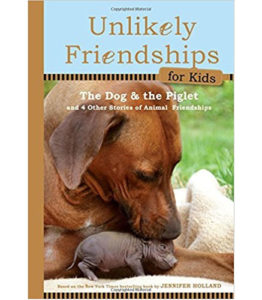 Unlikely Friendships For Kids: The Dog & The Piglet: And Four Other ...